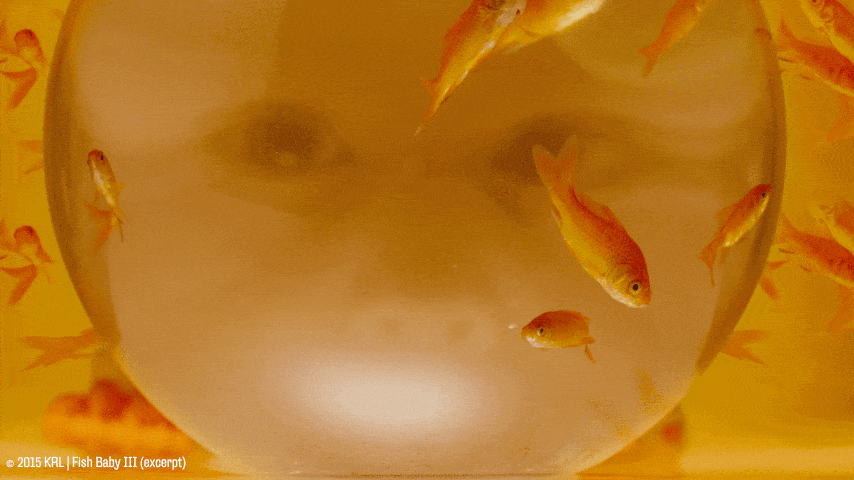 Fish Baby III | © KRL